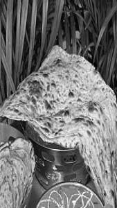 Naan Butter