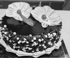 Choco Chip Cake [500 Grams]