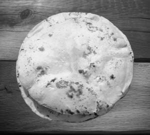 Tawa roti plain