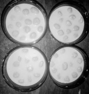 Malai Rasogulla