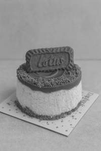 Baked Biscoff Cheesecake (350gms)