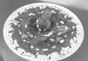 Veg Haveli Masala (2 Gravy)