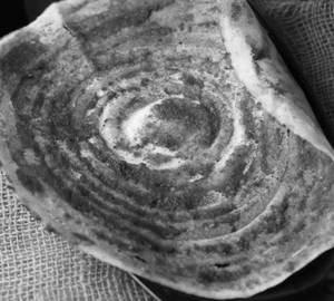 Poondu Kara Dosa