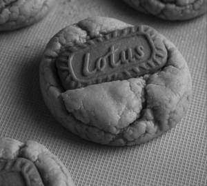 Lotus Biscoff (egg)