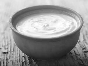 Plain Curd