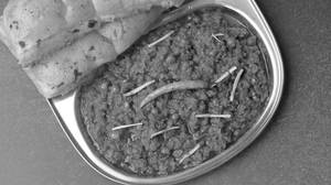 Veg Keema