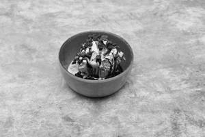 Mocha Fudge