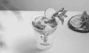 VIRGIN MOJITO