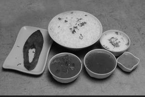 Fish Meal