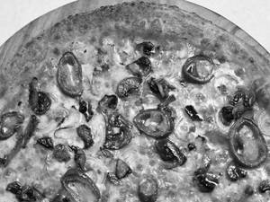 Forest Trip Pizza