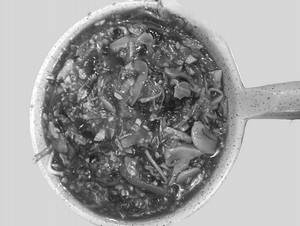 Pot Noodles (with Gravy)