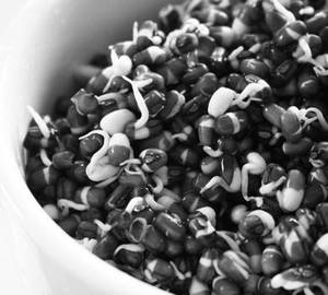 Black urd dal sprouts