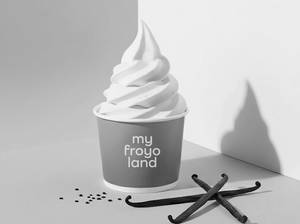 Vanilla Frozen Yogurt Ice Cream (100 Gm)