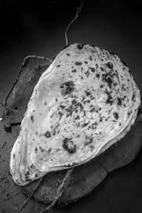KALARI NAAN