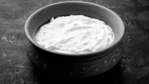 Plain Dahi