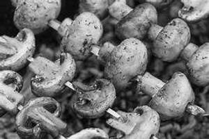 Mushroom Kali Mirch Kebab
