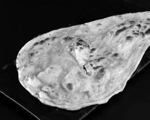 Lasooni Naan