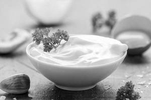 Dip Mayo 100 ML (white Sauce)