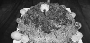 Non Veg Family Pack Biryani