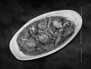 Veg jaipuri
