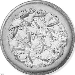 Jain pizza