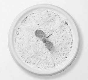 Plain Rice