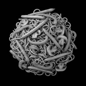 Veg noodles