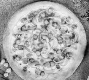Sweet Corn Pizza