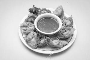 Chicken Fried Wonton