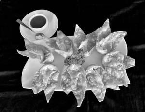 Chicken Fried Wonton