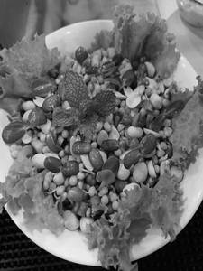 Sprouts Salad
