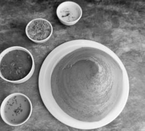 Shantilal Special Dosa