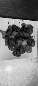 Hunan Chicken 