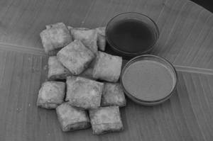 Spring Samosa