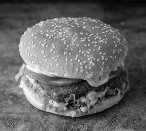 Cheese Burger