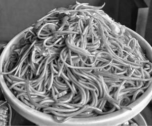 Veg Chowmein