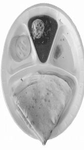 Egg Curry & Rumali Roti Combo