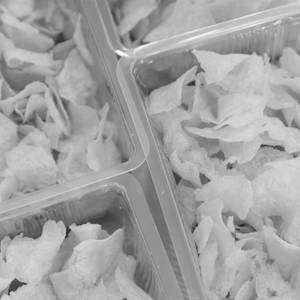 Salted Potato Chips (100g)