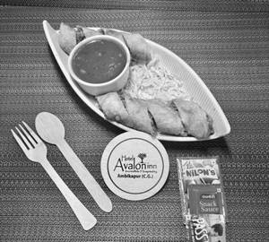 Veg Spring Roll