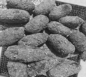 Veg Cutlet Spicy