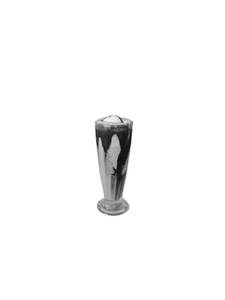 Cold Coffee Shake