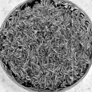 Zeresk Rice