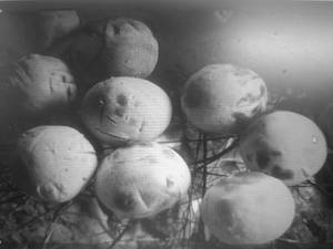 Wood Fired Litti Chokha (without Ghee)