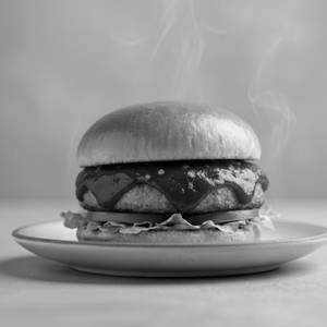 Spicy Barbeque Burger.