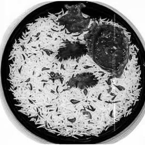 Jeera Rice