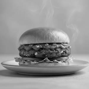 Spicy Salsa Burger