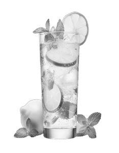 Mint Lemon Mojito