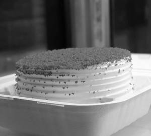 Red Velvet Cake [Eggless 250Grm]