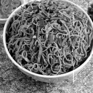 Mix Schezwan Hakka Noodles