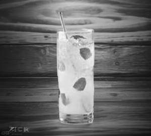 Lemon Mint Mojito